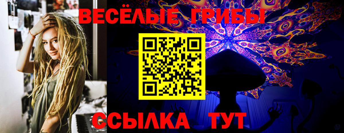 Набережные Челны  Псилоцибиновые грибы мицелий  Вход с VPN 